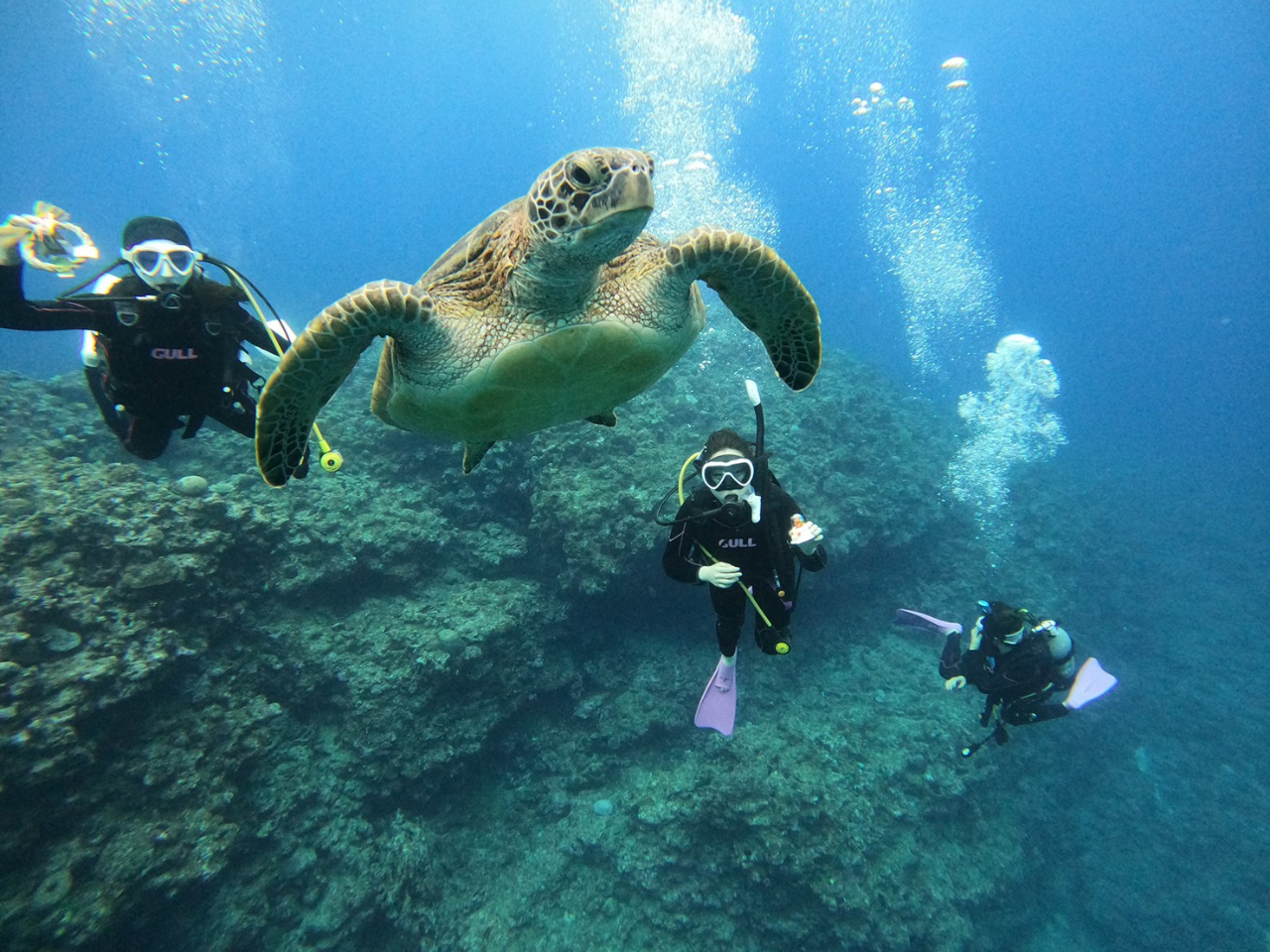 �E�~�K������ɂ��o��邩���I