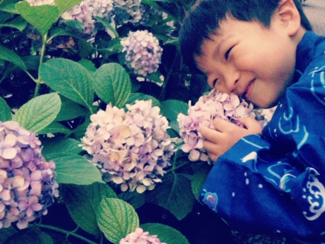 t@~[łIqlɎvoɎcЂƂƂv[gI