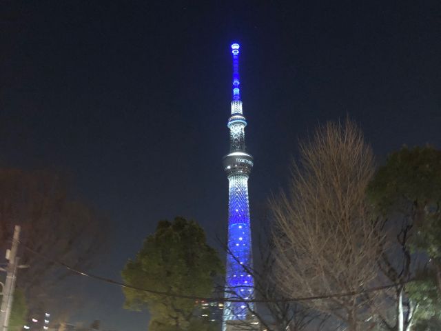 夕方は、夜景スポットを巡ります