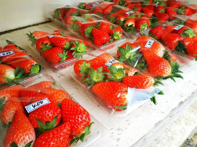 《直売コーナー》直売コーナーでは「いちご」「いちごジャム」「みかん」「オレンジ」「ネーブル」などを販売しております。 自家栽培の野菜も販売しております！