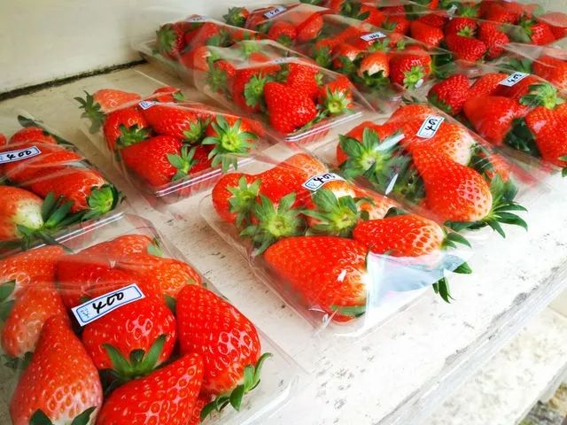 《直売コーナー》直売コーナーでは「いちご」「いちごジャム」「みかん」「オレンジ」「ネーブル」などを販売しております。 自家栽培の野菜も販売しております!