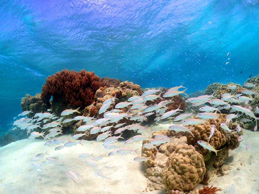 海況が合えば1回目と2回目で違うポイントに入ります。