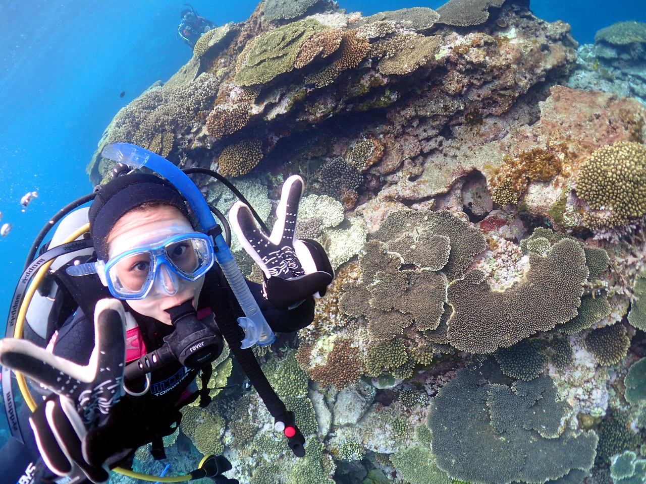 2ダイブで体験ダイビングを満喫できるコース!2本目は1本目よりも、ずっとリラックスして海を楽しむことが出来る、ダイビングをたっぷり楽しみたい方はこちら!