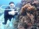 クマノミとも出会えるポイントももちろんあります。見たい生物リクエストしてくださいね。