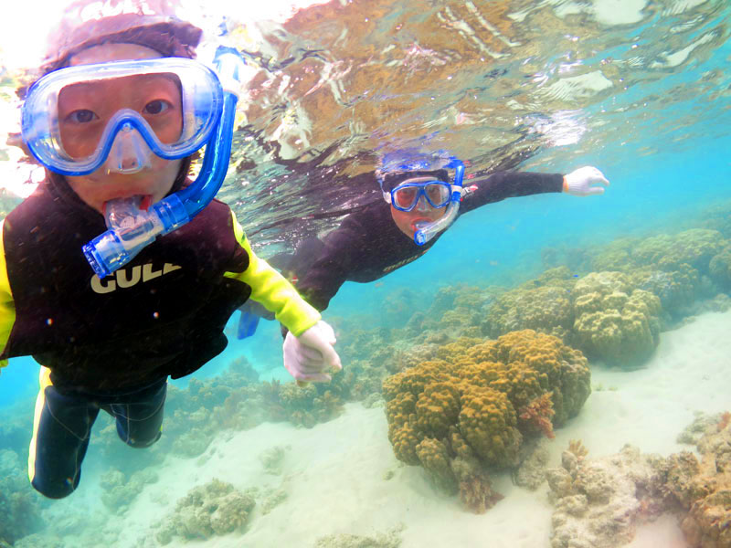 お子様も楽しめます。