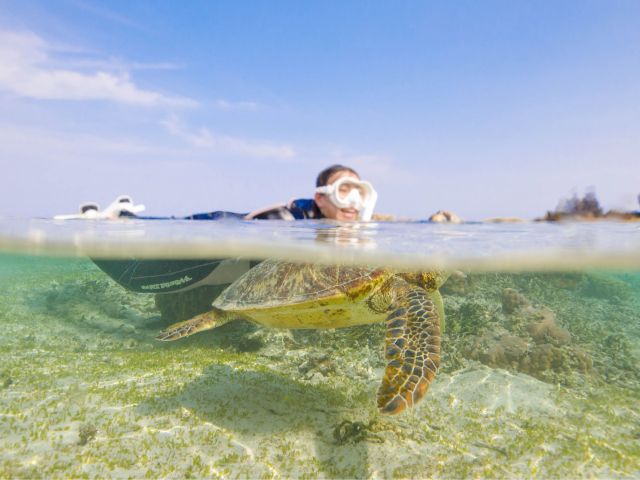 当日撮った水中写真と動画をデータでプレゼント!
