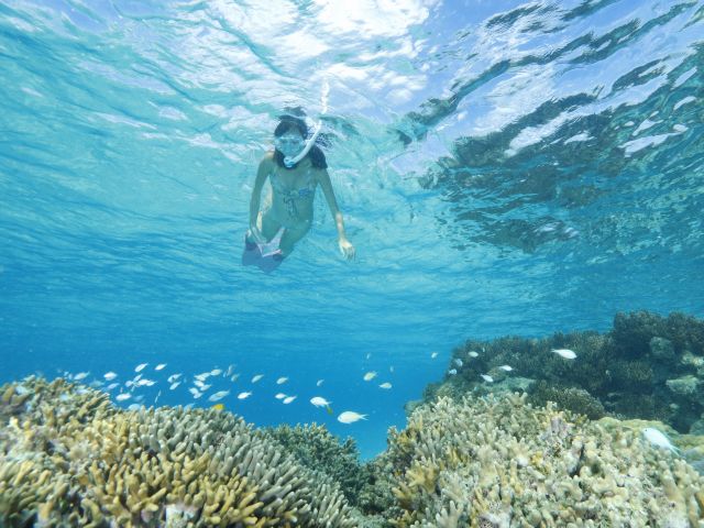 奄美大島 1日ビーチで満喫 ビーチシュノーケル ダイビングショップ ネバーランド じゃらん遊び体験 奄美大島 1日ビーチで満喫 ビーチシュノーケル ダイビングショップ ネバーランド じゃらん遊び体験