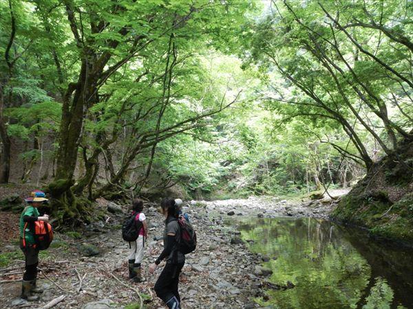 Rn߂Ă݂ǥHǂ̎RɁHs΂킩ȂA߂ĎRn߂ɍœK̃R[XI