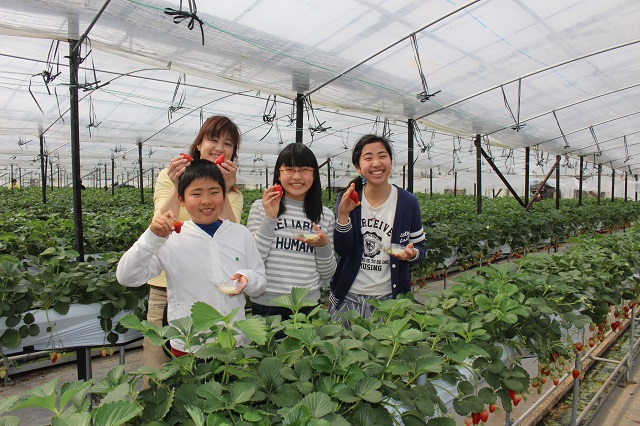 EFBEJbvEƑAEĉ̊Fɂ߂ł