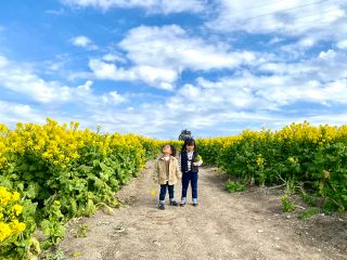 菜の花畑の中には小道があり、お散歩だけでなく写真スポットもあります