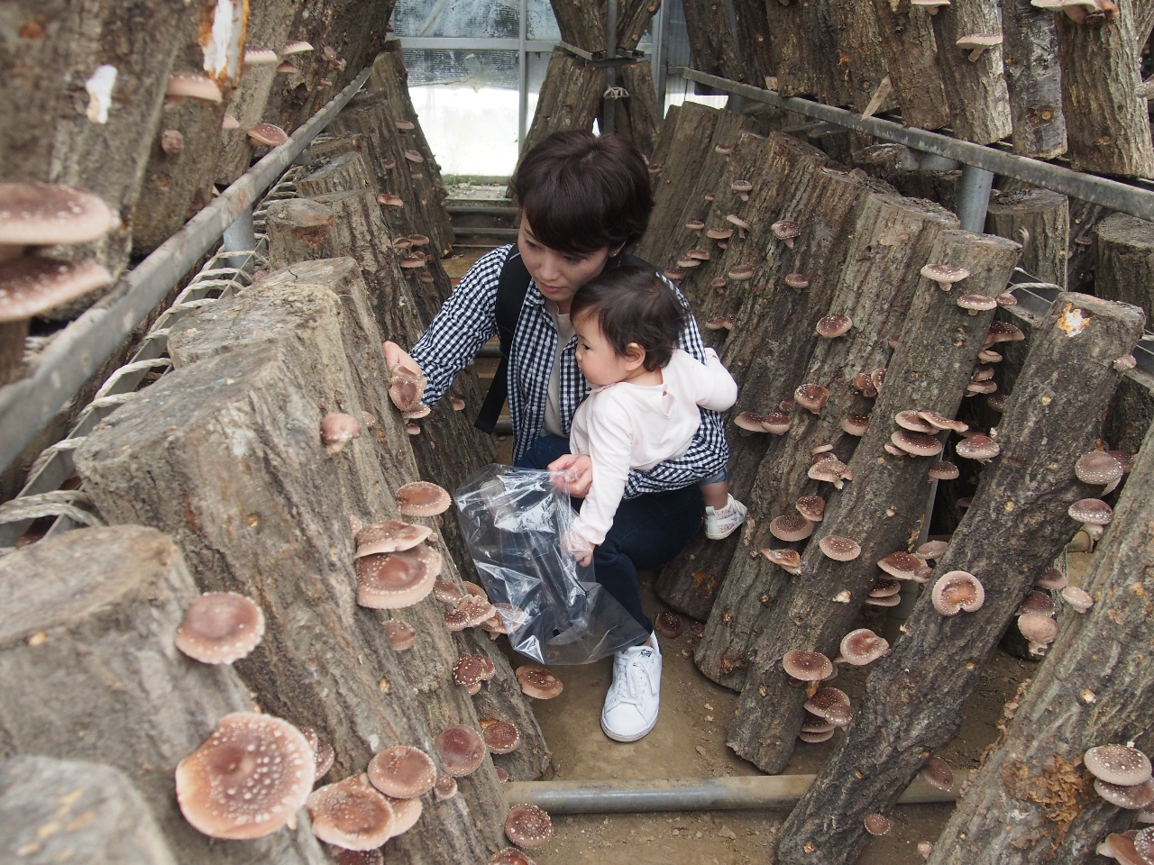 nꏊ́AG߂ɂXnEX̂ǂ炩ɂɂȂ܂B