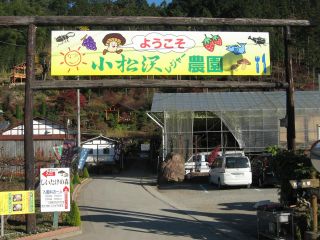 シャインマスカット 30分食べ放題プラン コロナ対策実施中 小松沢レジャー農園 じゃらん遊び体験 シャインマスカット 30分食べ放題プラン コロナ対策実施中 小松沢レジャー農園 じゃらん遊び体験