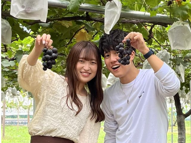 甘い巨峰を30分食べ放題