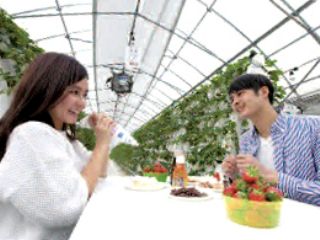 60分でお腹いっぱい食べられます