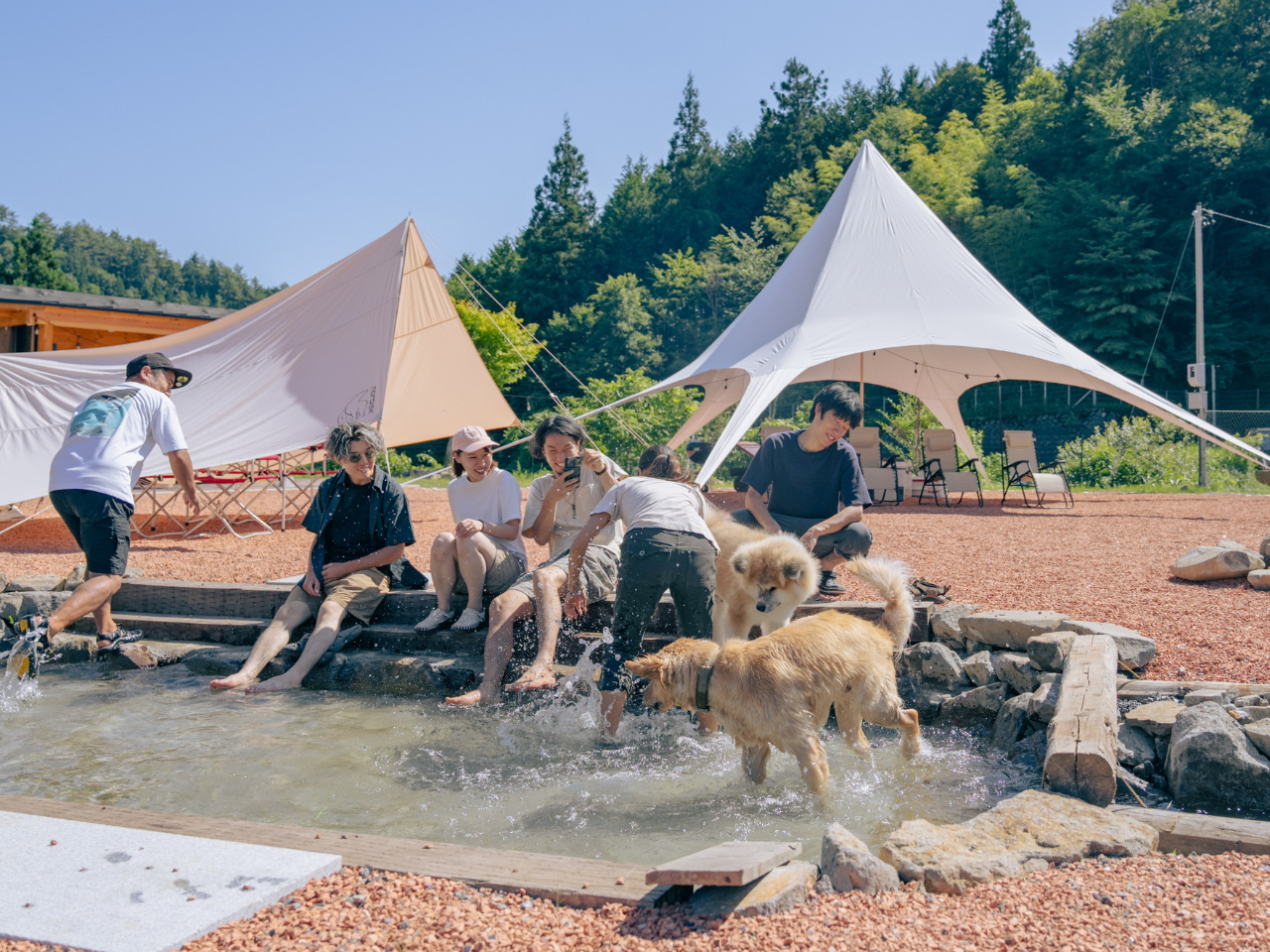わんちゃんと一緒にサイト内で水遊び