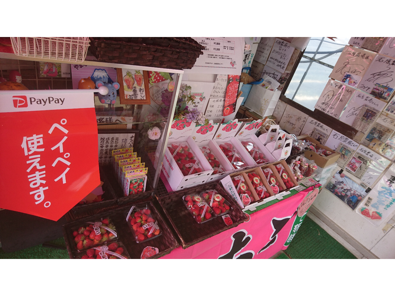 ���������͂������A���y�Y�p���������̔����Ă��܂��BPayPay�ł��x�������\�ł��B