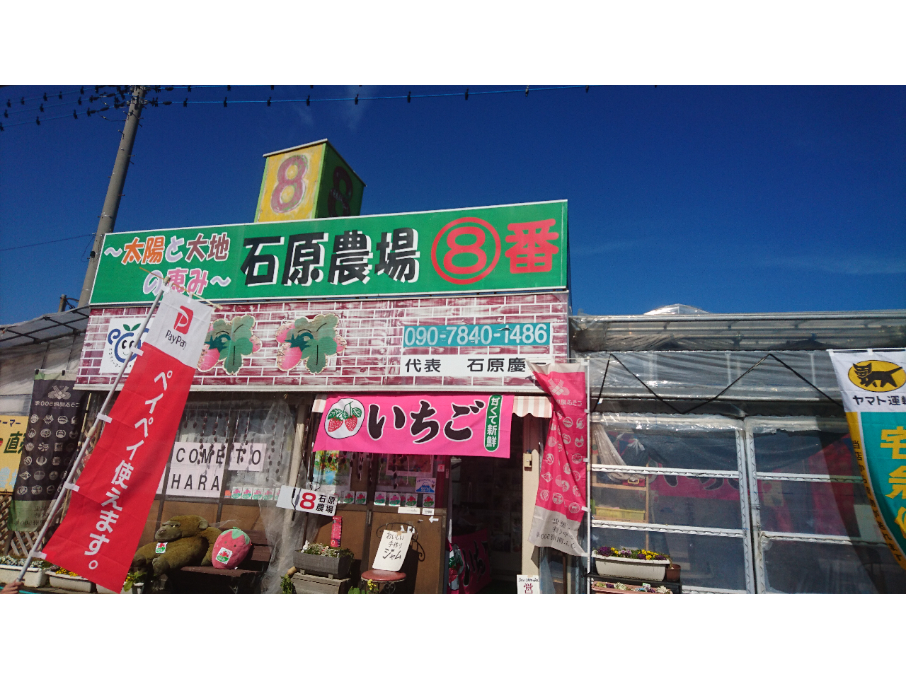 �Ό��_���8�Ԃ��ڈ�I