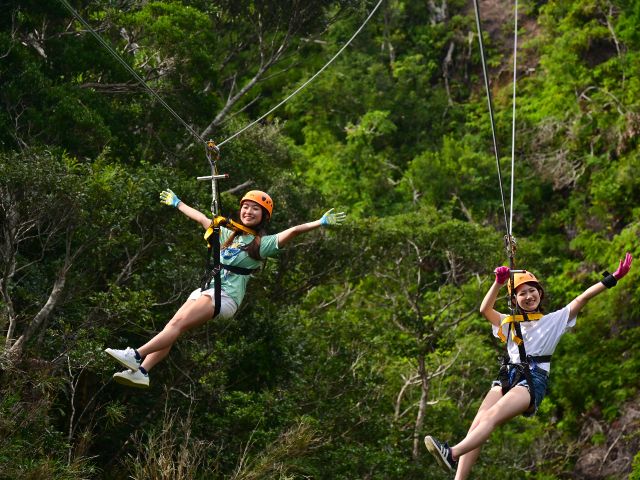 2人で同時に飛べるジップラインもあり!2人のチームワークが試されます(笑)