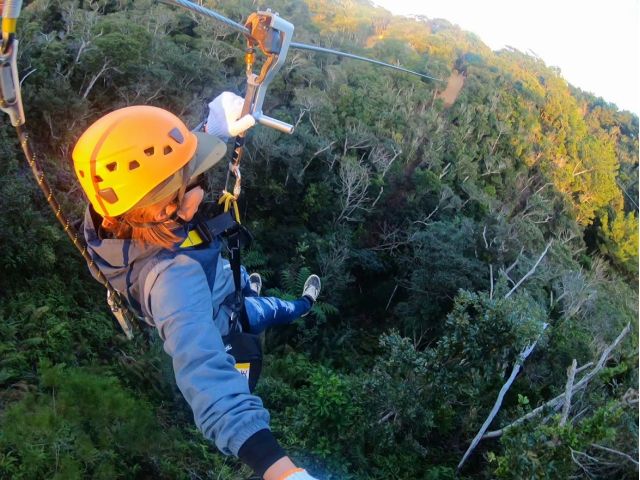 まるで”やんばる”に住む鳥のような体験光景!ここでしか体験する事ができない!
