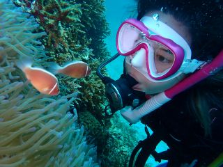 ハナビラクマノミとご対面!