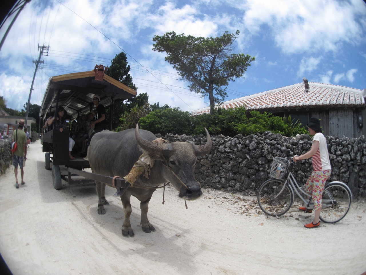 �́[��т萅���Ԋό����t���Ă܂�