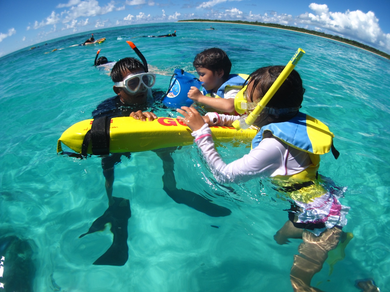 CXgN^[tĂ̂łqlj̋ȕłS