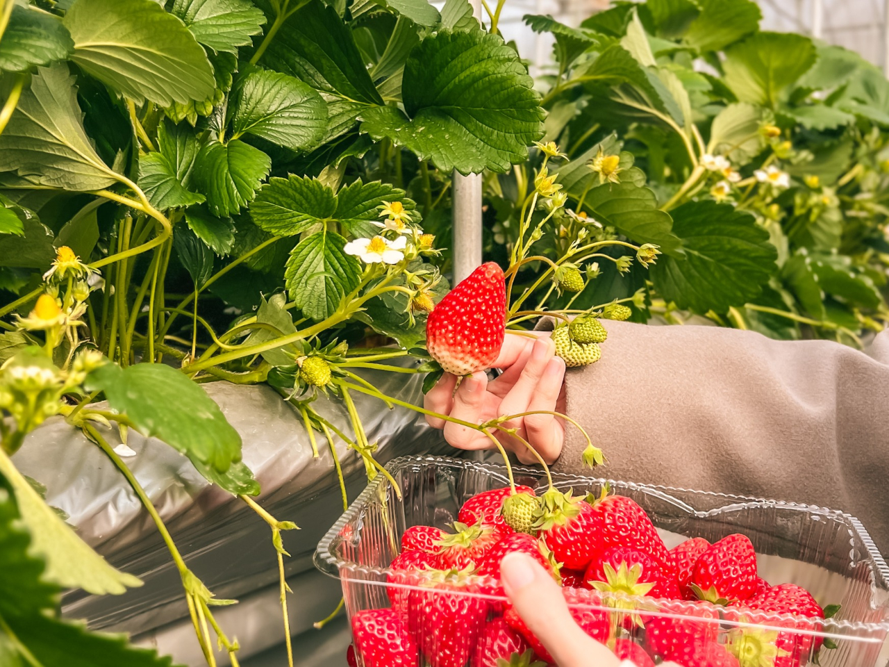  �������͍��ݍ͔|�B�y���g�p���Ă��܂���̂œy���D�ފQ���Ȃǂ̔��������͔̍|�����ɔ�ׂ�Ə��Ȃ��̂������ł���