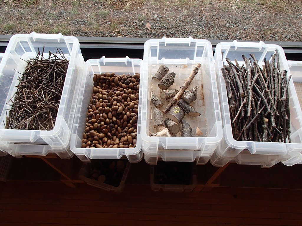 HɎgƂ̂ł鎩RfލޗByӂ̐XłׂĒBĂ܂