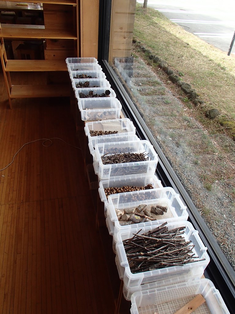 FXȑ̖؂̎}Aǂ񂮂A܂ڂƑgݍ킹ŉ\͖I