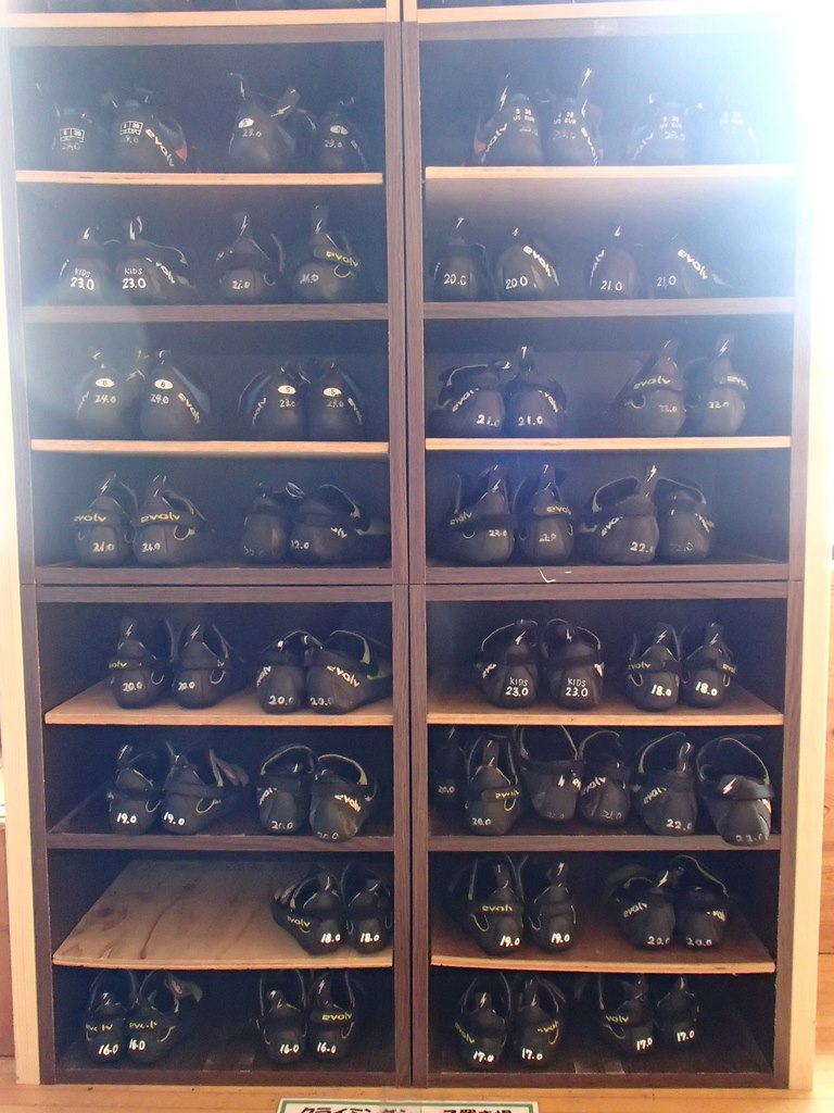 V[ỸTCY16.5`30cm܂Ŋe푵Ă̂ŁAǂȂł킹邱Ƃł܂B