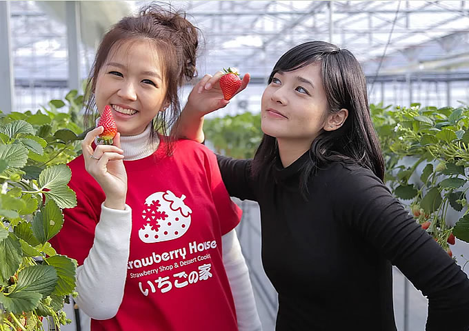 女子会で！楽しもう＼(^o^)／