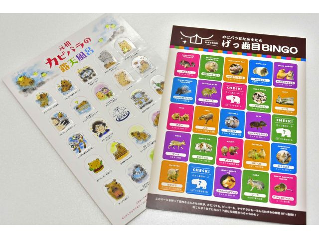 数量限定 カピバラの露天風呂ビンゴ付きプラン ビンゴカードを手にカピバラの露天風呂やカピバラの仲間たちを観察しよう ビンゴ達成でプチプレゼントあります ファミリーやカップルにオススメ 伊豆シャボテン動物公園 じゃらん遊び体験 数量限定 カピバラの露天風呂ビンゴ付きプラン ビンゴカードを手にカピバラの露天風呂やカピバラの仲間たちを観察しよう ビンゴ達成でプチプレゼントあります ファミリーやカップルにオススメ 伊豆シャボテン動物公園 じゃらん遊び体験