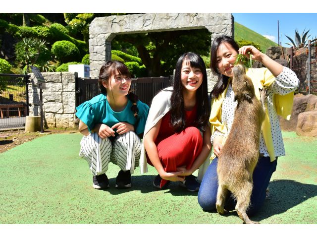 数量限定 カピバラの露天風呂ビンゴ付きプラン ビンゴカードを手にカピバラの露天風呂やカピバラの仲間たちを観察しよう ビンゴ達成でプチプレゼントあります ファミリーやカップルにオススメ 伊豆シャボテン動物公園 じゃらん遊び体験 数量限定 カピバラの露天風呂ビンゴ付きプラン ビンゴカードを手にカピバラの露天風呂やカピバラの仲間たちを観察しよう ビンゴ達成でプチプレゼントあります ファミリーやカップルにオススメ 伊豆シャボテン動物公園 じゃらん遊び体験