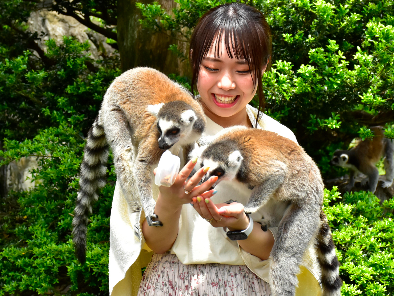 Aj}{[gcA[YuILclU̓v㗤R[X