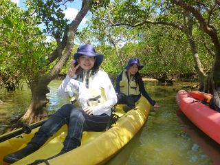 マングローブ域をカヤックで探検!湧き水エリアではカヤックを降りて生き物観察を楽しみます。沖縄の自然にいやされるツアーです。5才から参加できる人気コースです。