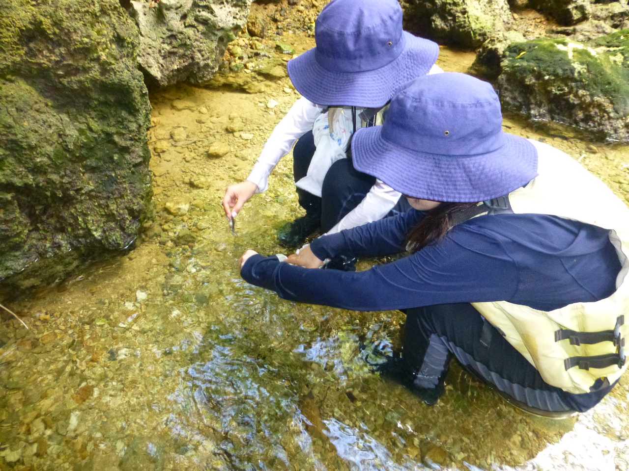 }O[uJbNŒTINGAł̓JbN~Đώ@y݂܂B̎Rɂ₳cA[łB5˂QłlCR[XłB