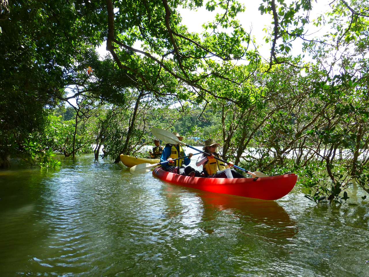 �������̓}���O���[�u�̓���]���U�􂵂܂��B