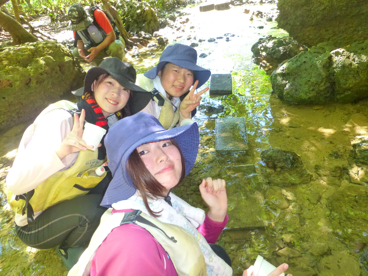 }O[uJbNŒTINGAł̓JbN~Đώ@y݂܂B̎Rɂ₳cA[łB5˂QłlCR[XłB