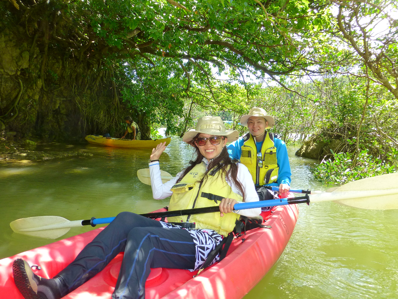 ���ʂ��������ԑтɃ}���O���[�u�G���A�̐��H�E����]���J���b�N�ŎU�􂵂܂��B�}���O���[�u�̉���E�Љ�≫��̎��R�␶�������ώ@����l�C�`���[�E�H�b�`���O�c�A�[