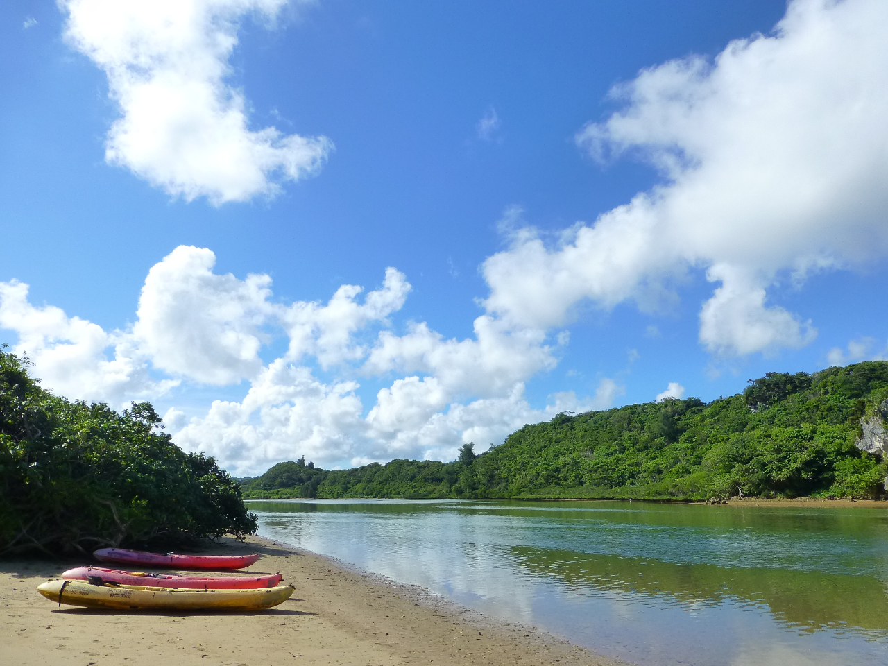 �J���b�N�𑆂��ŎU��ł��B�}���O���[�u�ɂ��Ă̏Љ�����Ȃ��玩�R�ώ@�B�����ΊD��̕s�v�c�Ȓn�`���B�J���Z�~�����ł������Ƃ��B���ꂽ�璴���b�L�[�ł��B