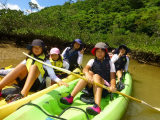 干潮時はシオマネキやミナミトビハゼを観察。満潮時は入り江に入れることも。開催される時間帯によって風景が変わります。生き物が好きな方は干潮時がおすすめです。