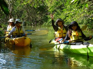 水位が高い時間帯にマングローブエリアの水路・入り江をカヤックで散策します。マングローブの解説・紹介や沖縄の自然や生き物を観察するネイチャーウォッチングツアー