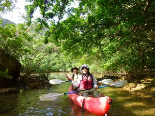 このコースはマングローブ域で、沖縄の自然を感じながらカヤックを体験します。マングローブ沿いを漕ぎますが、潮位が高い時は入り江に入れることがあります。