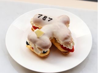 飛行機シュー(イメージ)