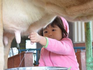 那須高原りんどう湖ファミリー牧場の口コミ一覧 じゃらんnet 那須高原りんどう湖ファミリー牧場の口コミ一覧 じゃらんnet