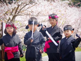桜の季節は華やかな記念撮影がすぐ近くでできます(^^)/