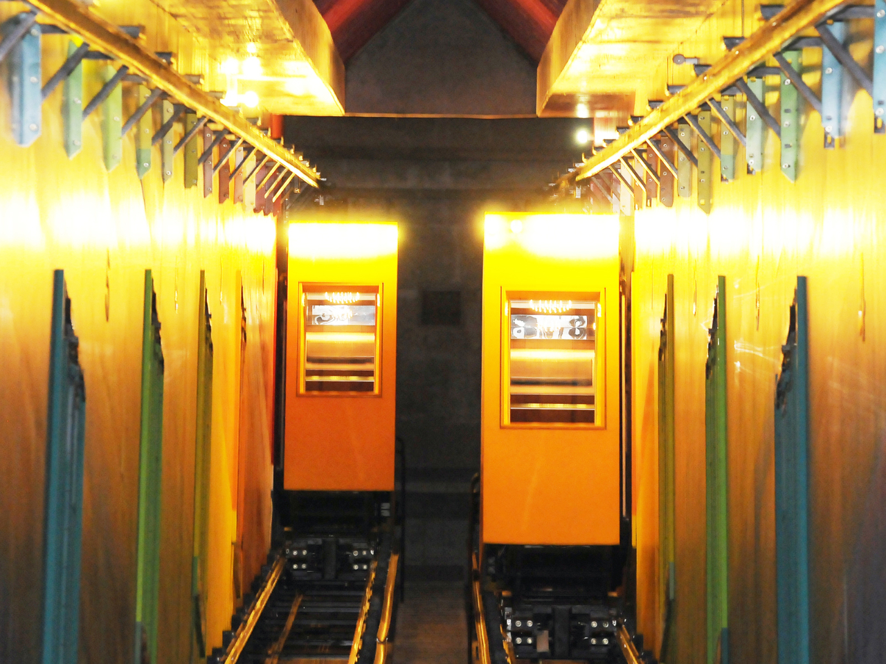 y{݁z1K8K܂Ŏ΂߂ɓP[uJ[