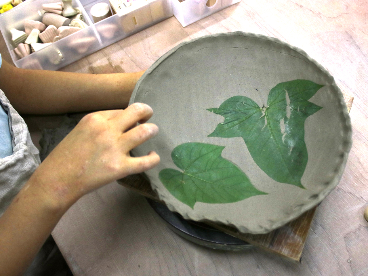 �{���̐A���̃J�^�`���c�������ł��܂���