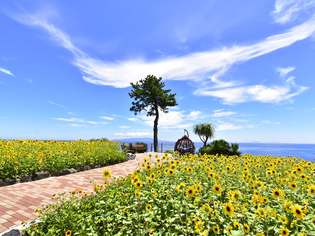 yāzƐCɉFq}̉Ԃf