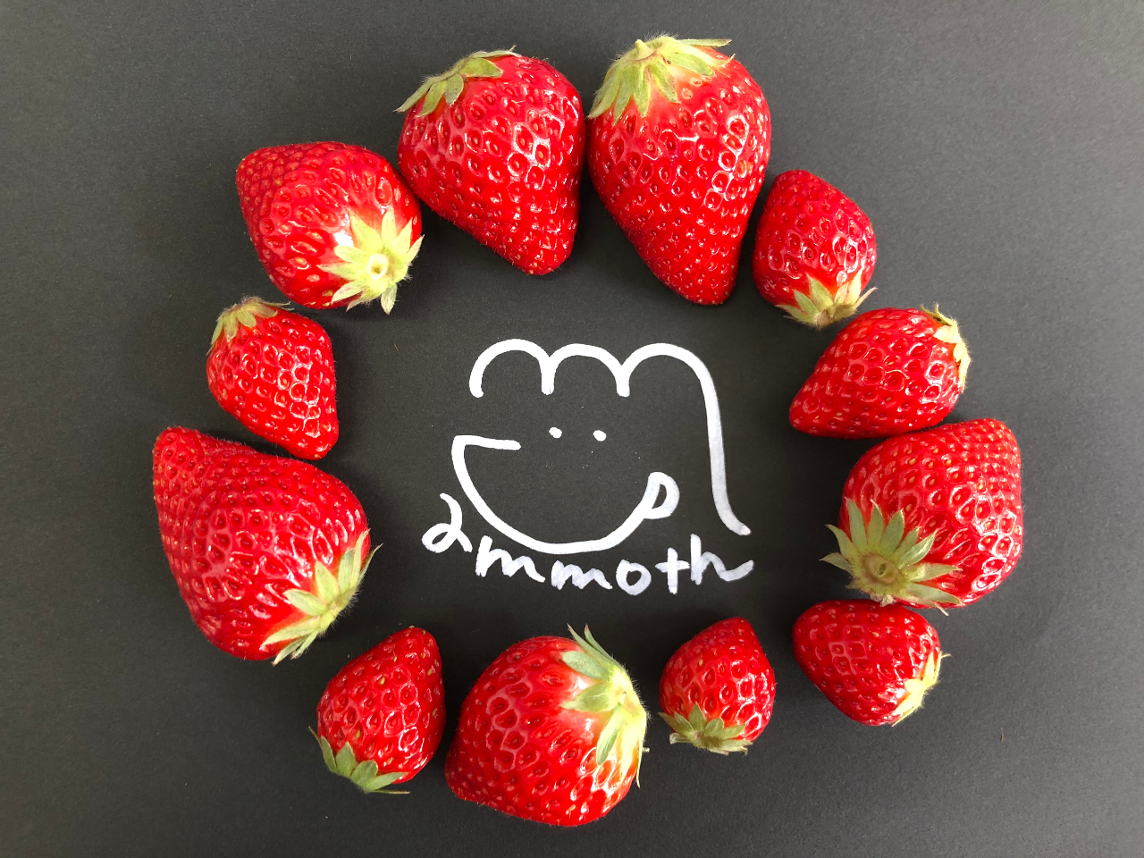 いちごです( ⑅﻿ᴗ͈ ᴗ͈)♡ 木更津】＊時間無制限＆練乳おかわり自由＆高設栽培のいちご狩り体験